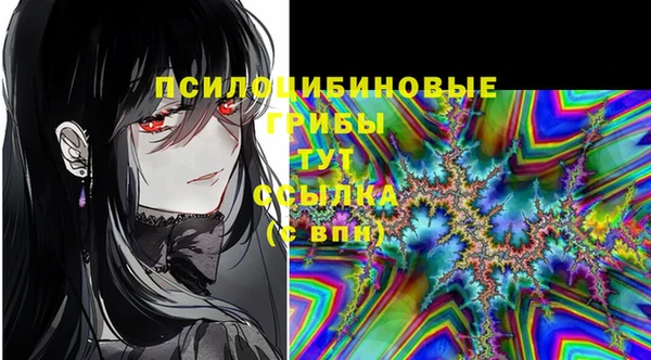 гидра Алзамай