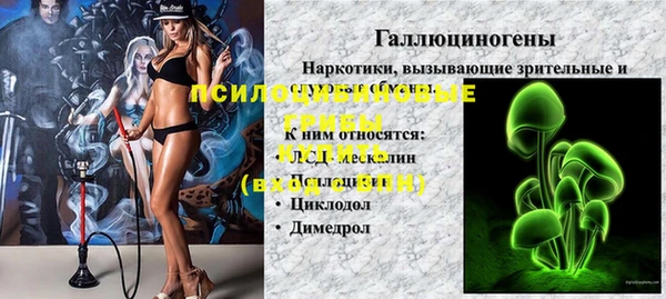 гидра Алзамай