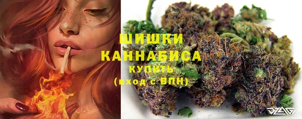 гидра Алзамай