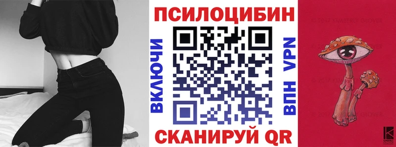 Псилоцибиновые грибы мицелий  Нестеров 